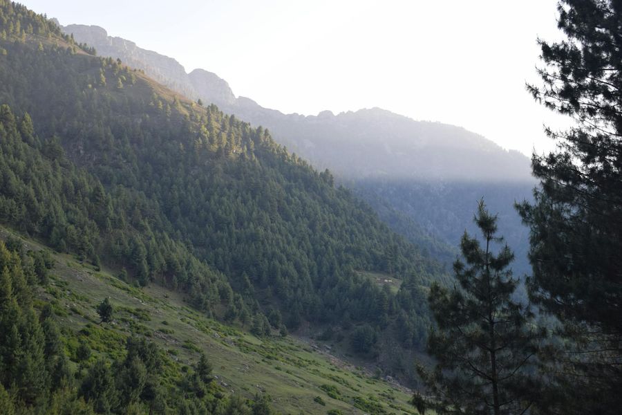 Why business process automation AI fuels hypergrowth