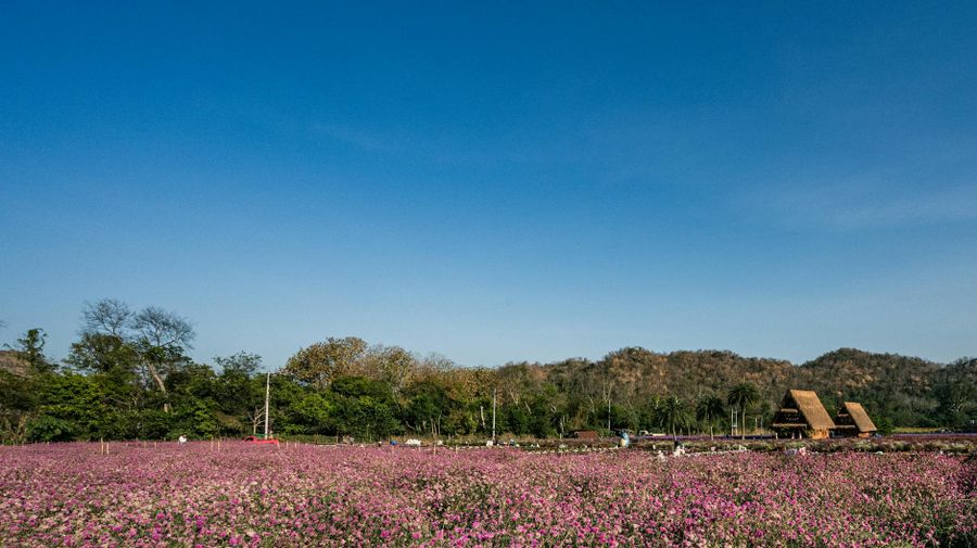 The AI business transformation playbook for scale