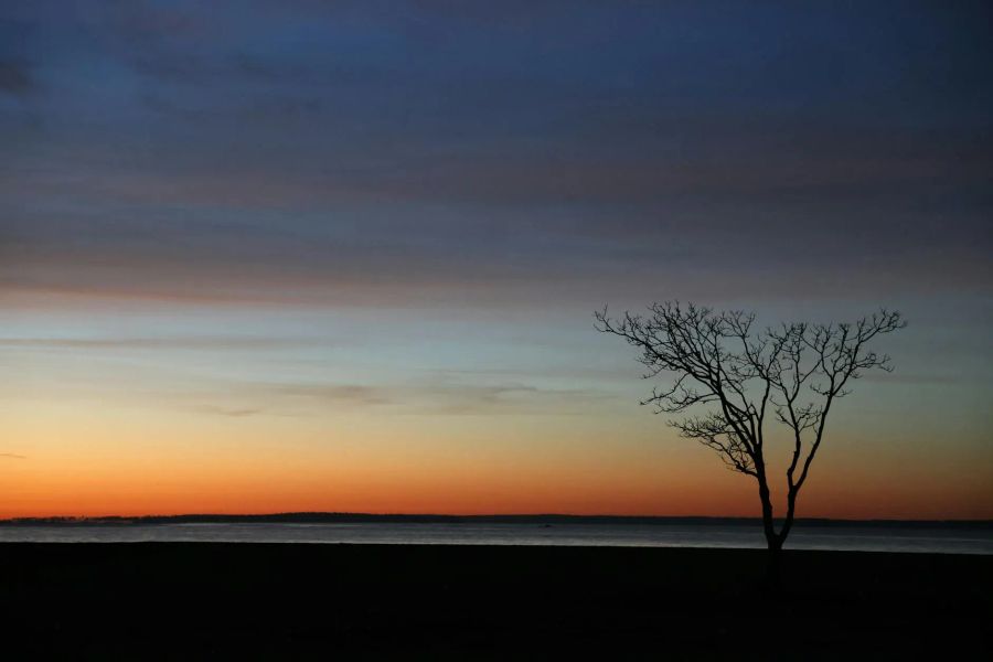 AI tools for business strategy that ship tomorrow