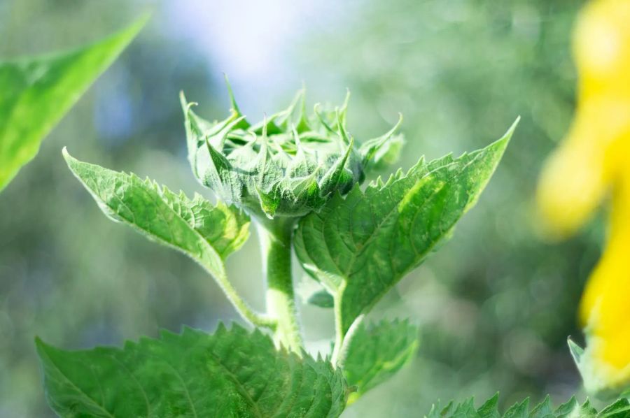 The truth about AI in business strategy