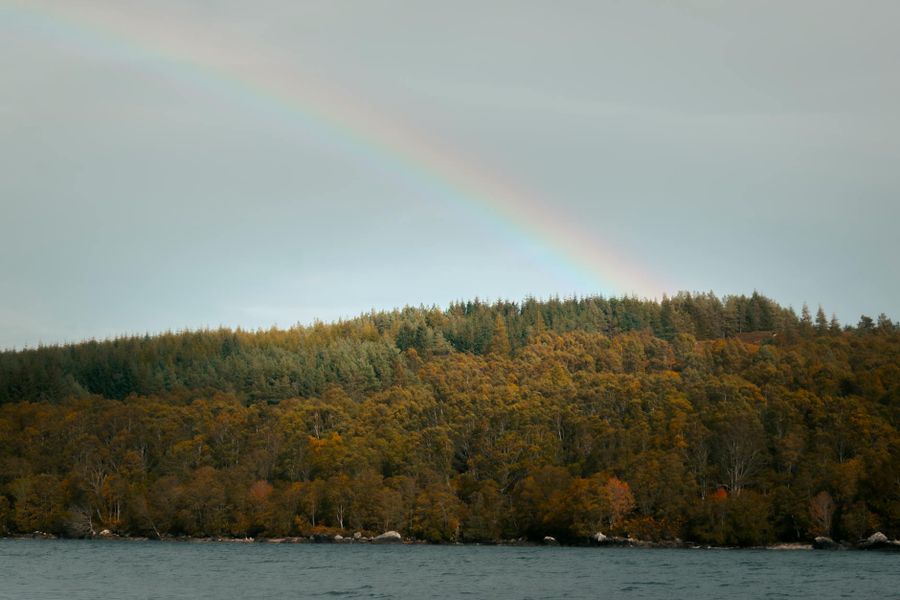 Can AI agents be integrated with existing enterprise systems?