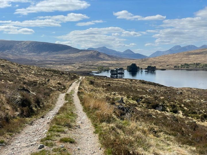 The Power of a Pivot: Abandoning the Badger Divide