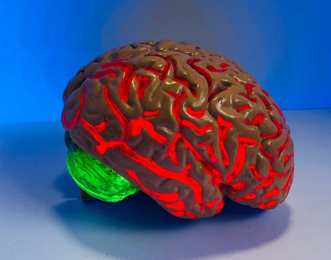 The largest ever dementia-only VC raises $269mn