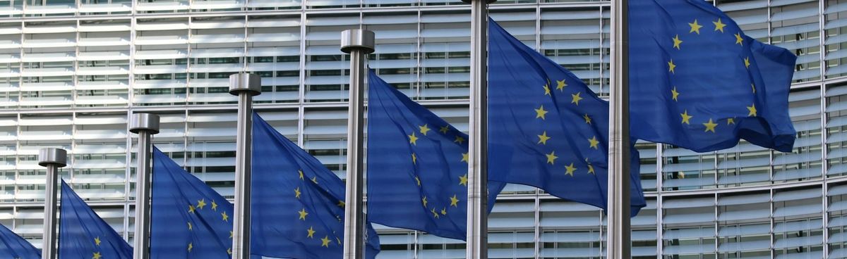 EU approves drastic scope reduction of CSRD and CSDDD