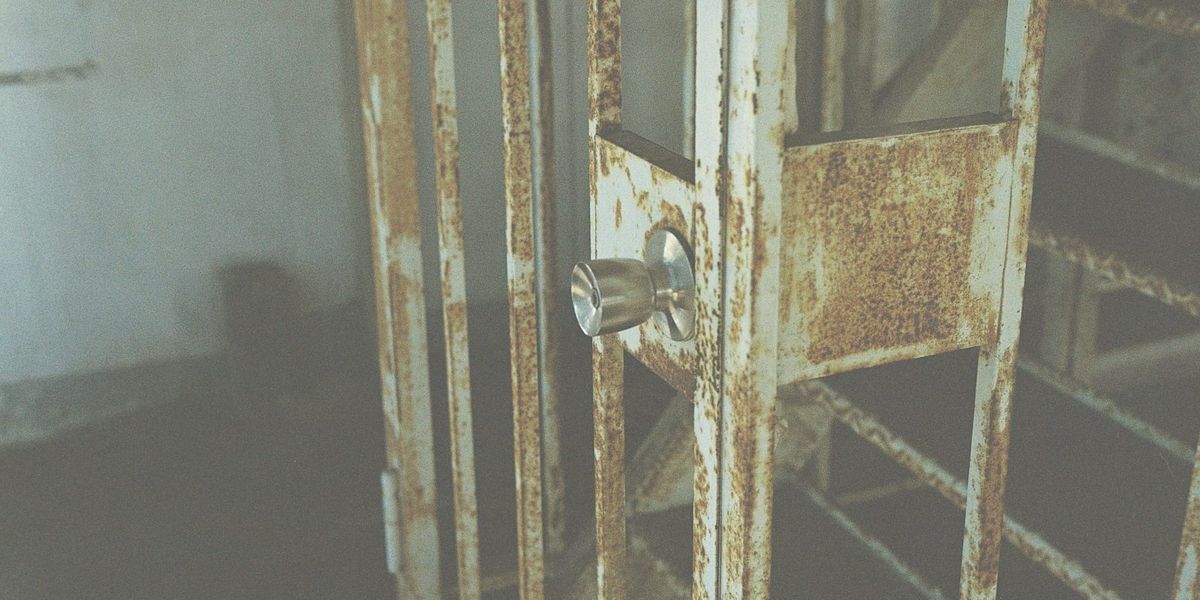 What's the point of good governance after David Gentile's release?