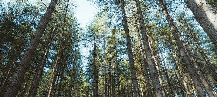 Gresham House raises over $500m for natural capital fund