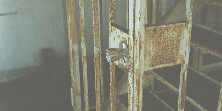 What's the point of good governance after David Gentile's release?