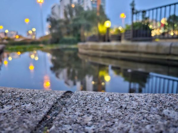 See The Lights By Kalynn Marxen
