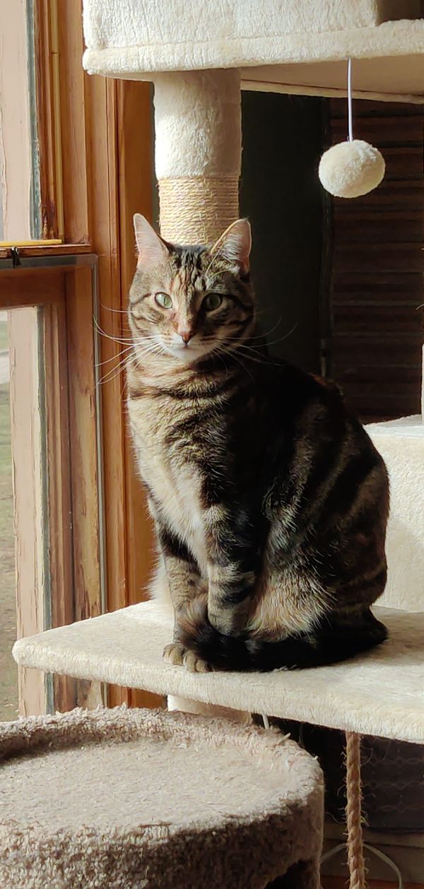 "Patches" by Anna McCluskey