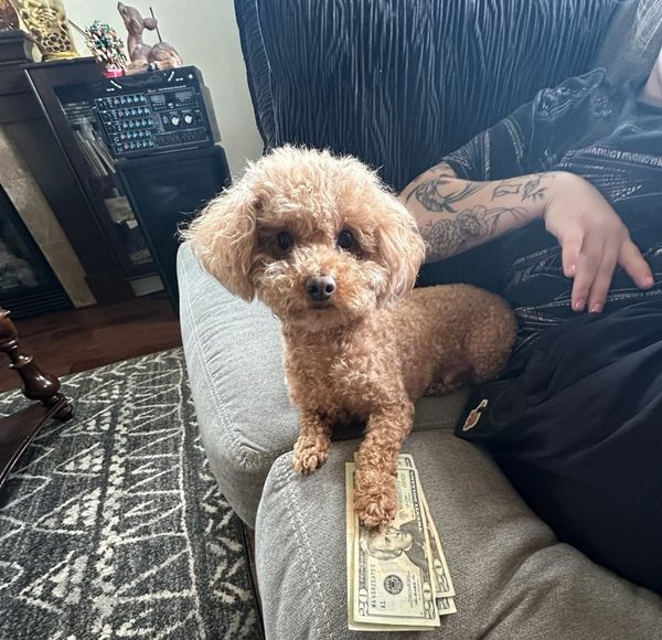 "Flexing that Moolah" by Arden Phan