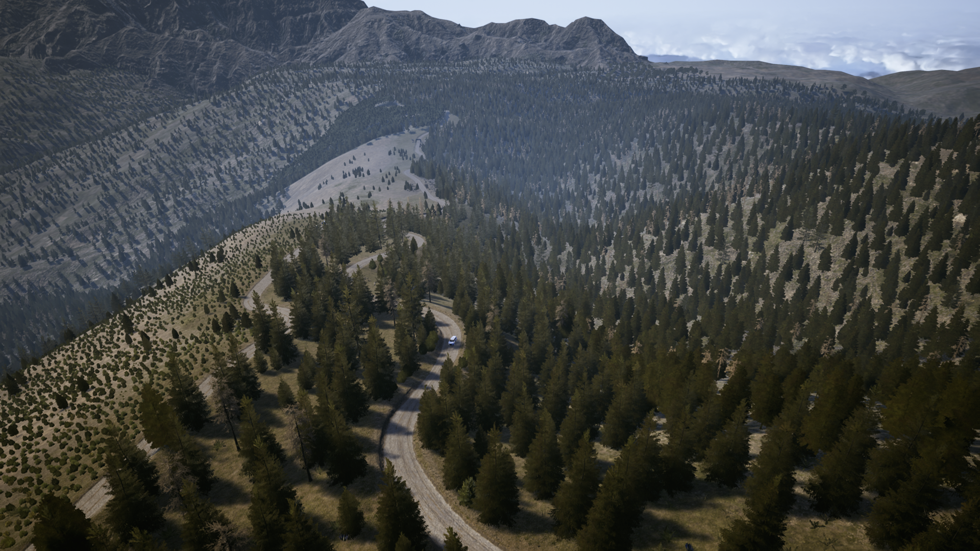 A scenic view of a forest amongst a mountain ranges, with a dirt service road waving it's way through it.