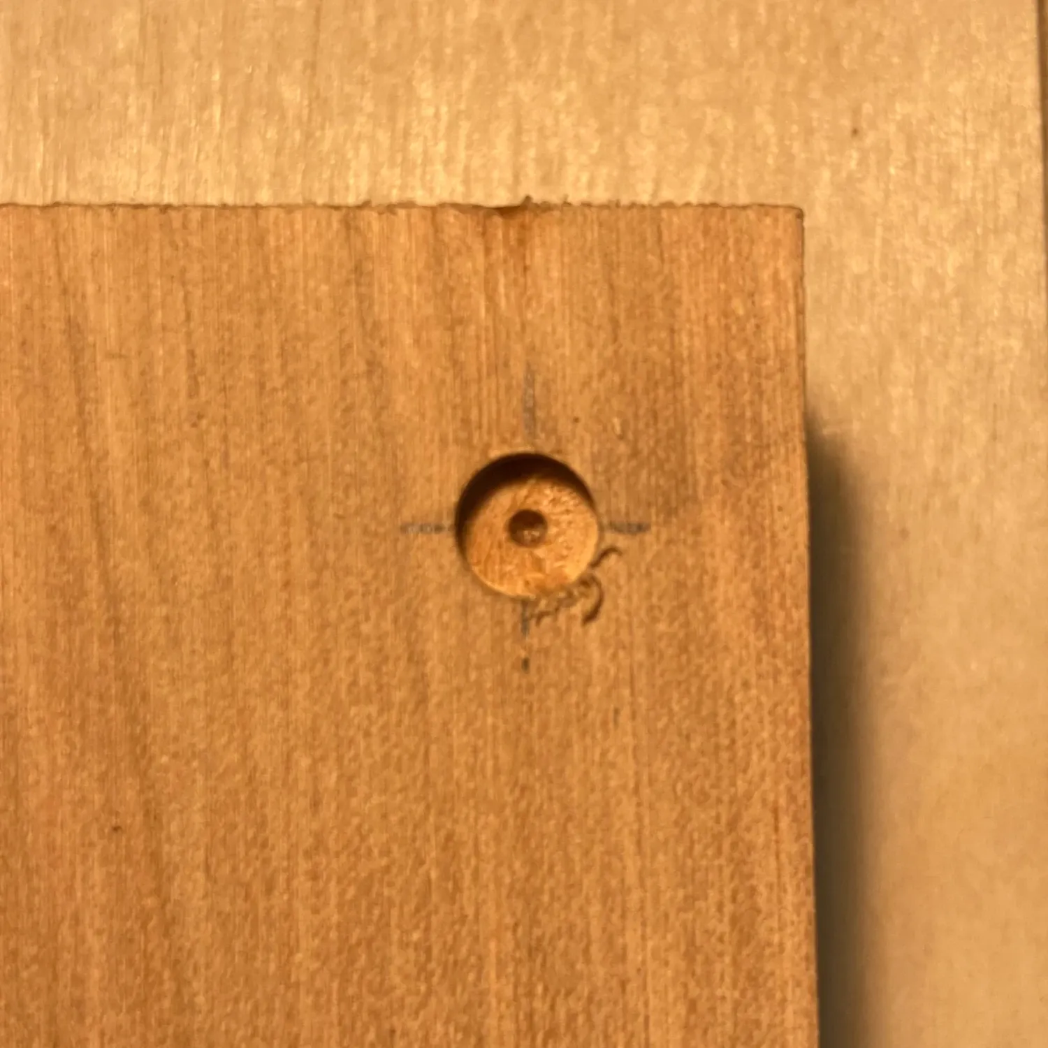 An image showing a precisely centred hole drilled in a piece of wood.