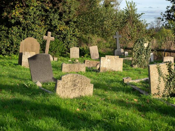 Some gray grave markers, man old and weathered, some with vines growing over them, and one in the shape of a cross, with relatively tall grass growing around them.