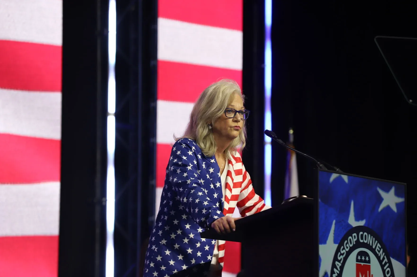 Massachusetts SJC Rejects Republican Lieutenant Governor Candidate Anne Manning Martin's Ballot Appeal