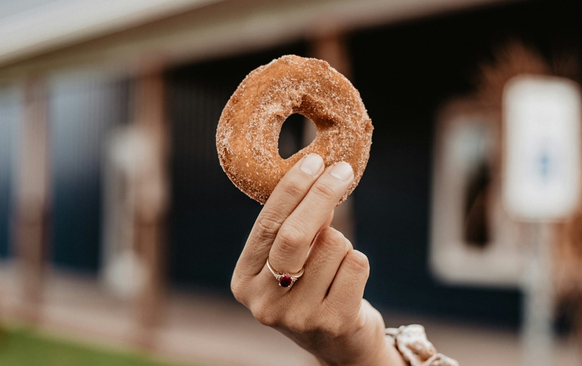 Best Cider Donuts in Massachusetts: Farms and Markets to Try This Fall