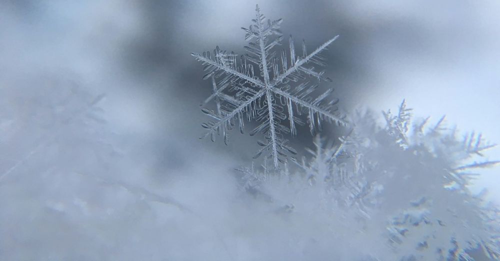 You Want The Original Snowflake Test?  Here It Is