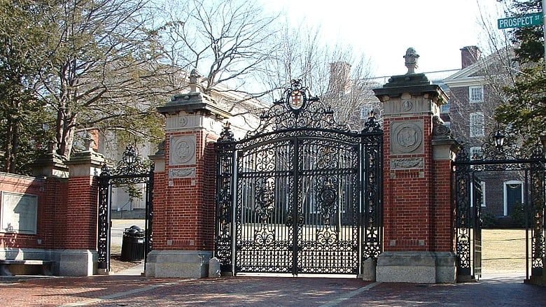 At Brown, tampons for men