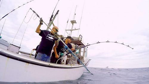 The Life of a Fisherman, On the Small Screen:  Gloucester’s Famous TV Stars