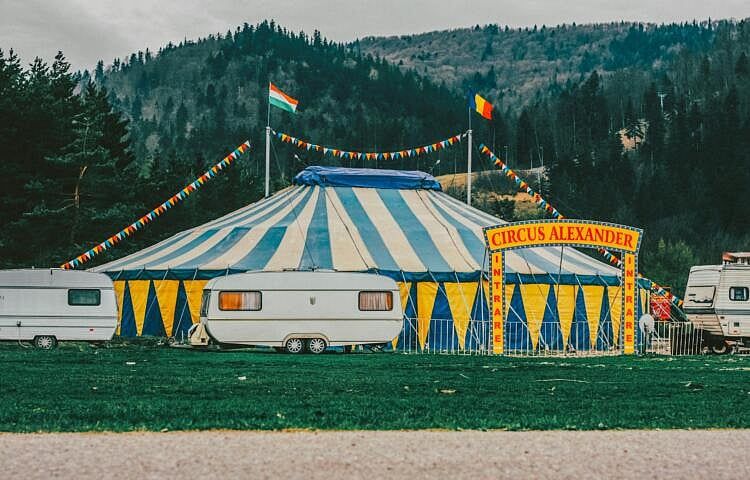 Circus Animal Ban Makes It To Massachusetts Governor Maura Healey’s Desk