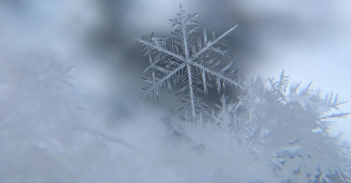 You Want The Original Snowflake Test?  Here It Is