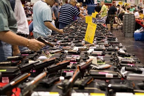 Guns, Congress, and the will of the people