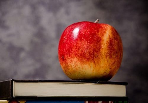 How Two Apple Orchard Photographs Tell Story of America’s Decline