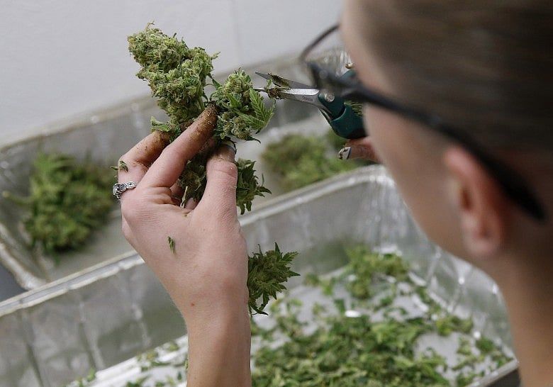 State’s fifth medical marijuana dispensary opening in Lowell