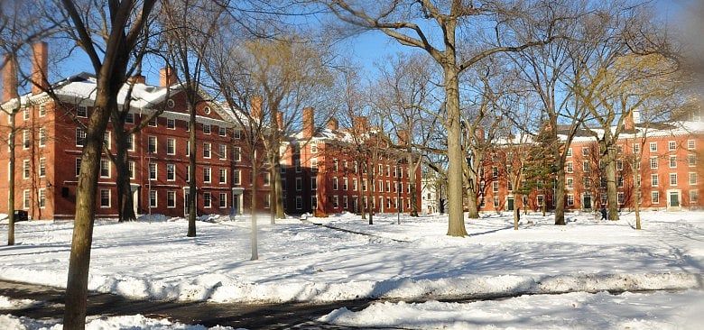 Harvard’s frenetic pace leads students to hook up, not date
