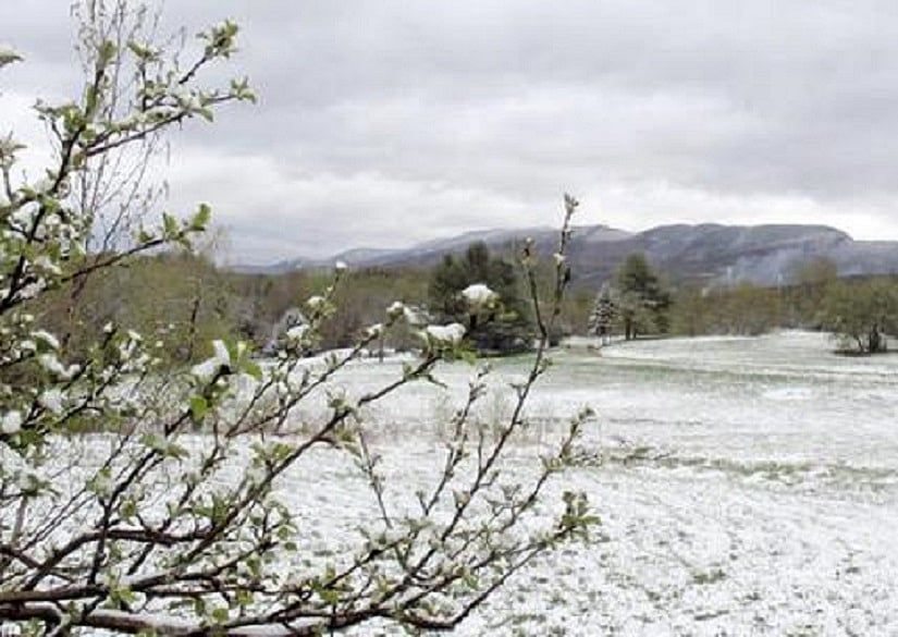 Snow coats parts of Northern New England, Massachusetts