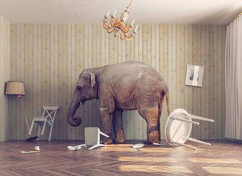 Why Educational Policies Fail:  The Elephant in the Family Room