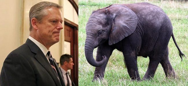Blank Charlie Baker, Massachusetts Republican Group Says