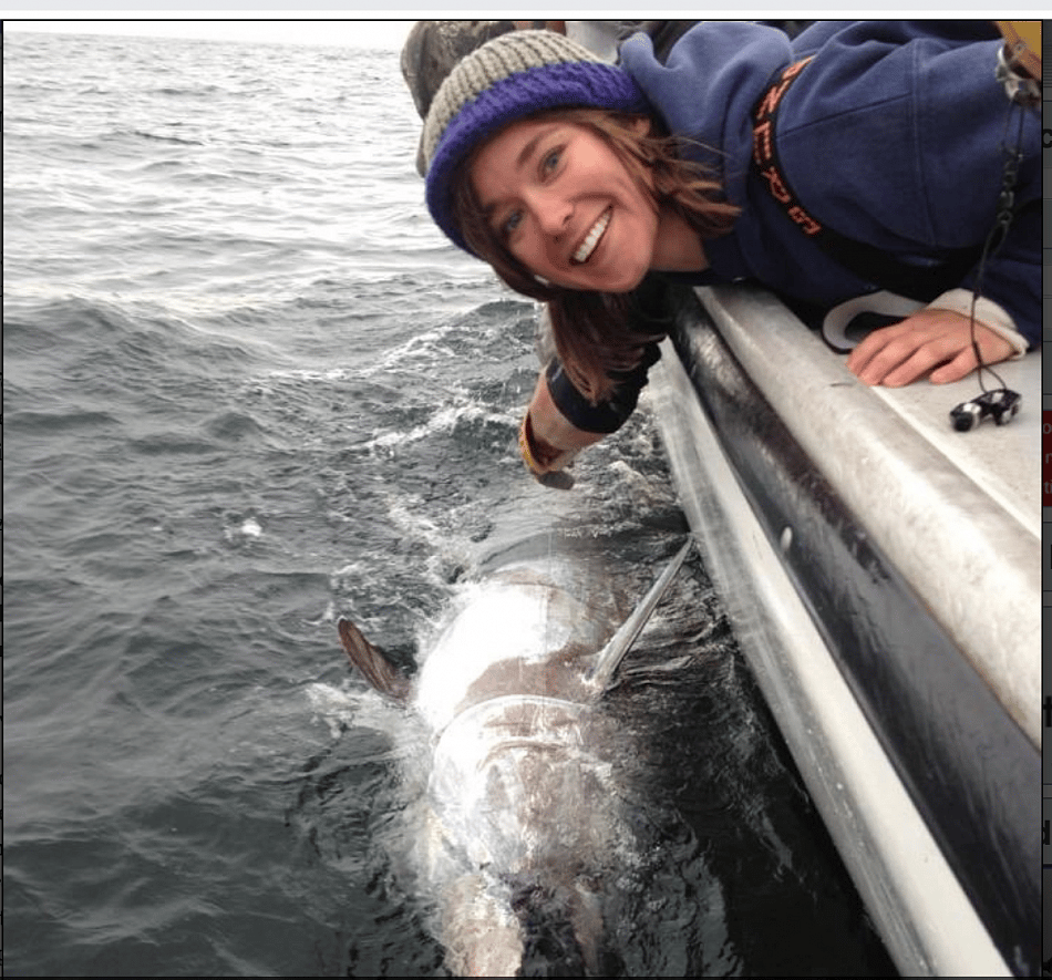 State Offers Cash To Deal With Shark Attacks on Cape Cod – But Only After They Occur