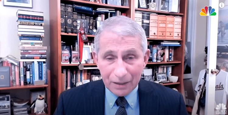 Anthony Fauci Praises Ending Anti-Abortion-Funding Mexico City Policy