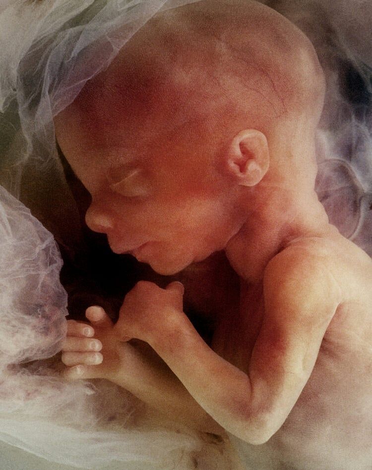 Ohio Voters Approve Pro-Abortion Amendment To State Constitution