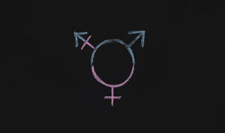 What’s In the Worcester Sex Curriculum?  Details …  Explicit Language Warning