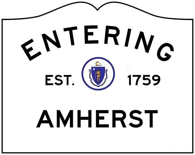 Pro-Abortion Students Walk Out of School In Amherst For Protest On Town Common