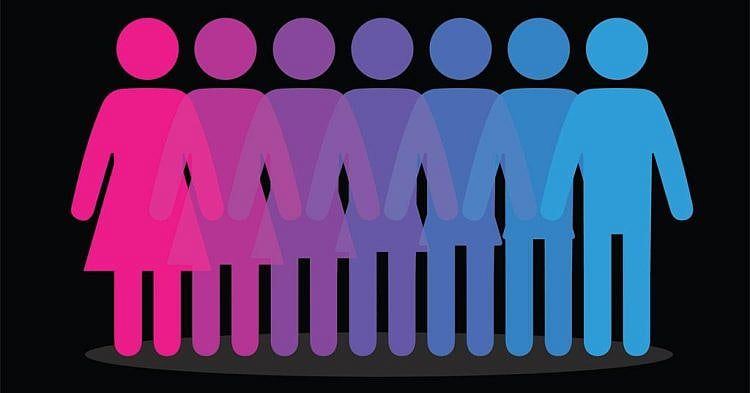 Private School In Boston Teaching Second Graders There Are More Than Two Genders