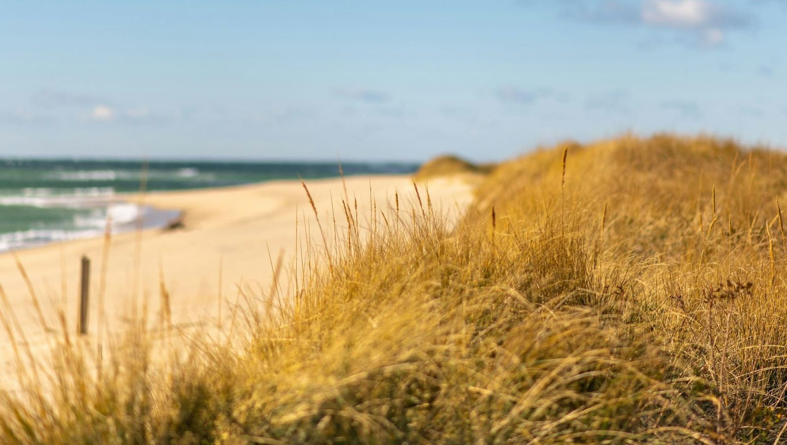Beach in Cape Cod