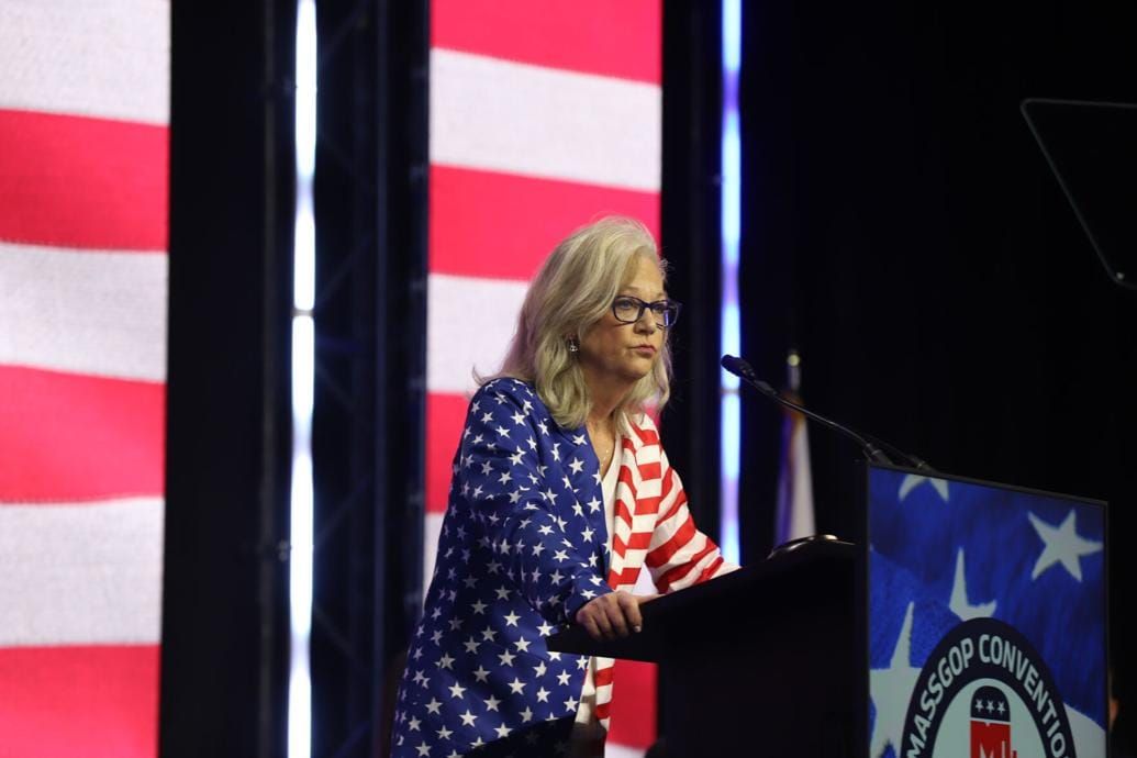 Republican Lt. Governor Candidate Anne Manning Martin Launches Write-In Campaign After Being Removed From Ballot