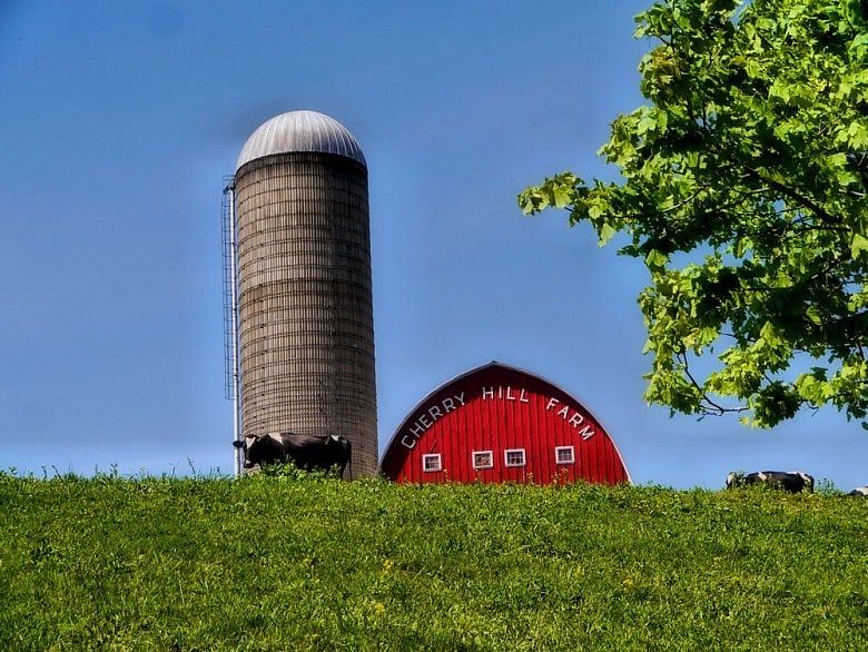 Farmers: Animal welfare ballot initiative would mean higher prices