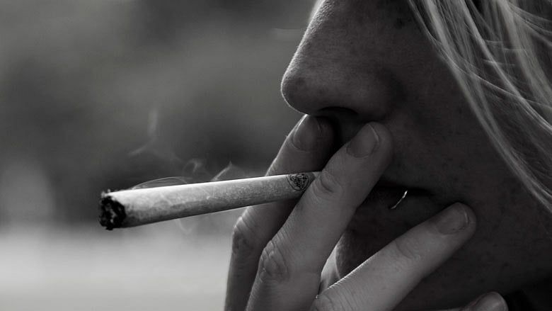Senate pot committee to publish findings