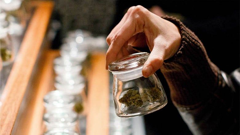 Marketing medical marijuana got me banned on Facebook