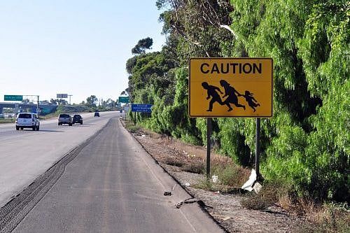 Cape Cod Elected Officials Stand Up To Illegal-Immigration Advocates