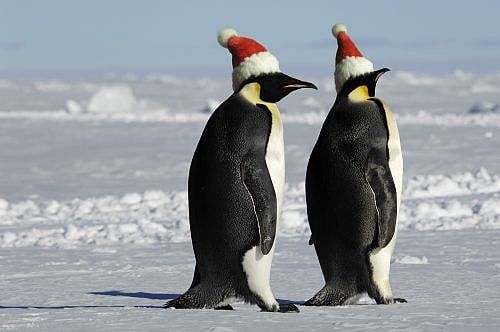 Canada:  Santa’s Moving To South Pole Because of Global Warming