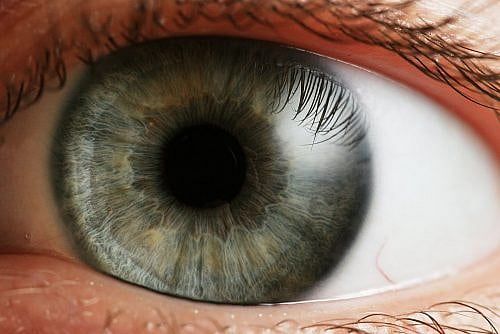 Fourteen Worms in Your Eye?