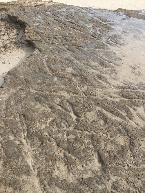 Storm Uncovers Cart Tracks on Cape from 100+ Years Ago