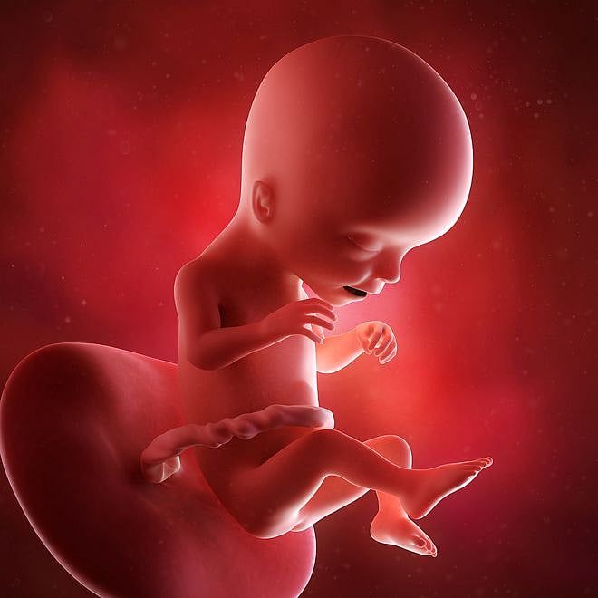 Anti-Abortion-Funding Constitutional Amendment Ballot Question Gets Go-Ahead From Massachusetts Attorney General’s Office