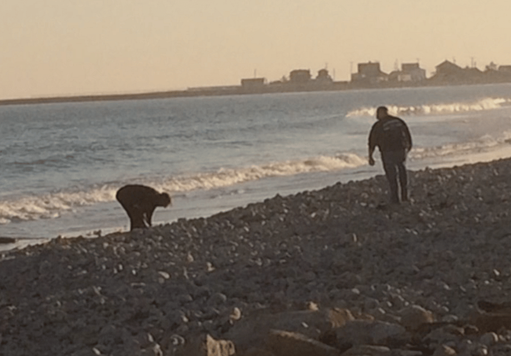 These People Are Serious About Their Beach Rocks