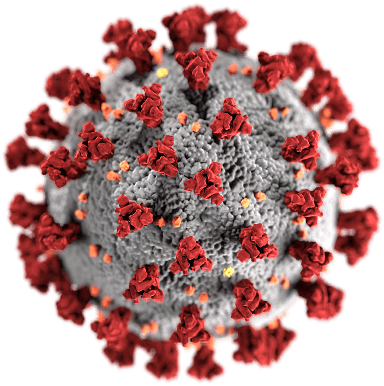 Massachusetts Coronavirus Deaths Rare For Most Age Brackets