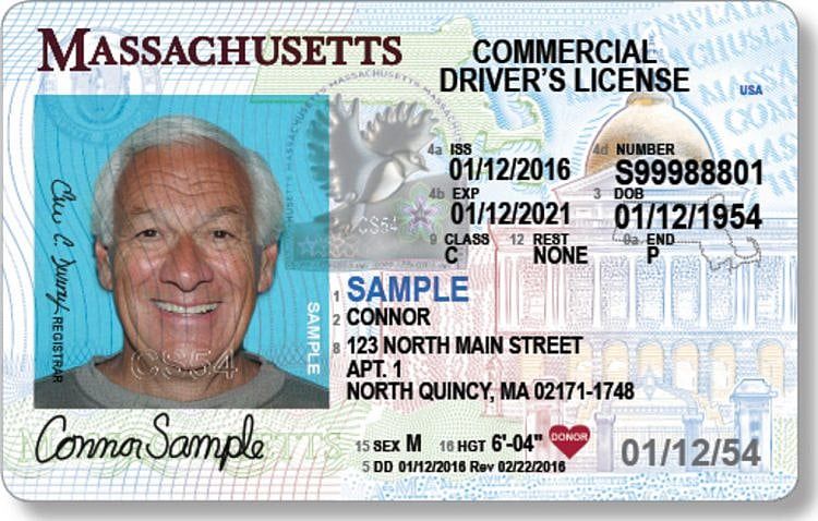 Repeal Ballot Question of Driver’s-Licenses-for-Illegal-Immigrants Law OK’d